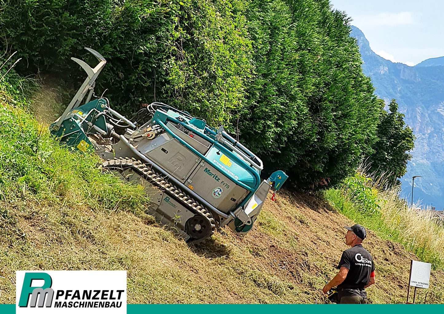 Pfanzelt Poster, verschiede Motive