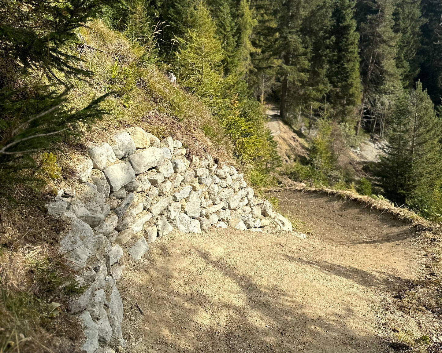 Ticket | FUTURE TRAIL SUMMIT 2025